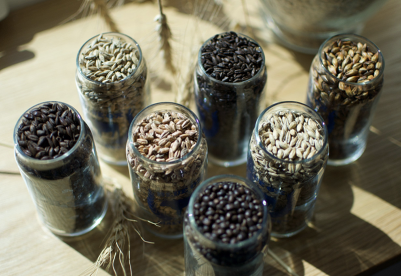 Blue Ox Malthouse Debuts 7 nuevas variedades de malta asada