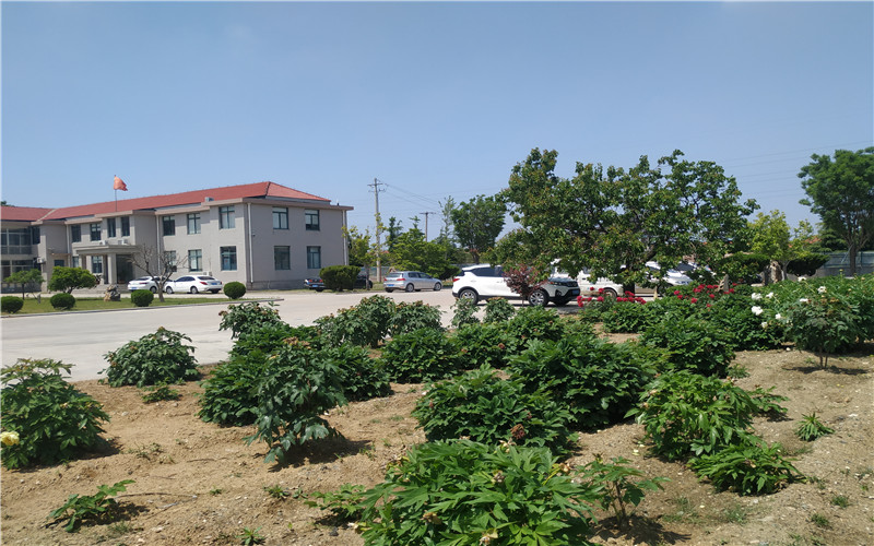 Temporada ocupada de entregas en la fábrica de Yingtai (I)