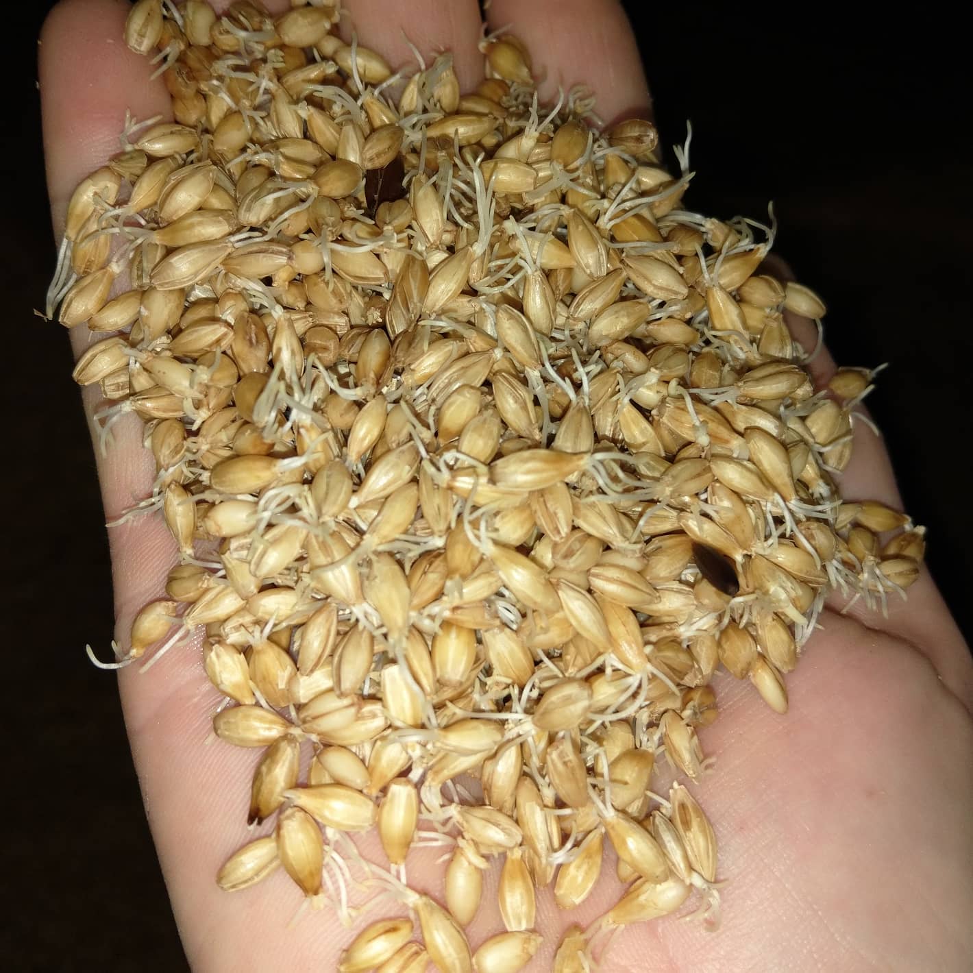 161960375_534733457927701_4111366113801031640_o