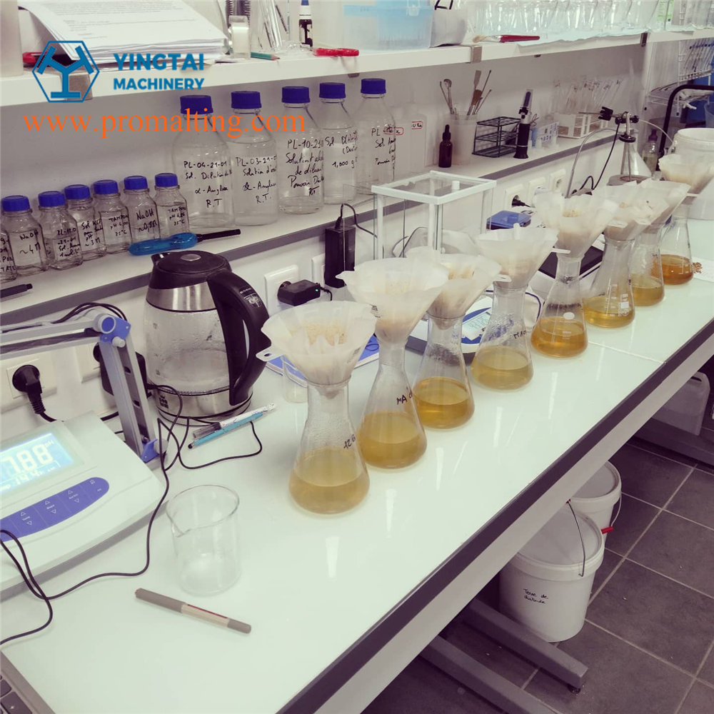 Tostador franc&eacute;s-4