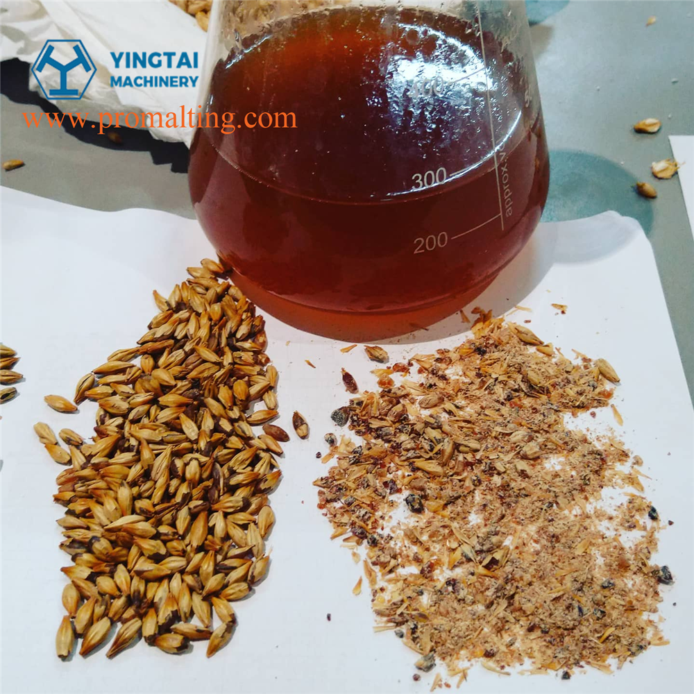 Tostador franc&eacute;s-3