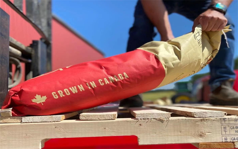 Envío de un sistema de malteado en tambor artesanal de 10 toneladas para la planta de malteado de Canadá