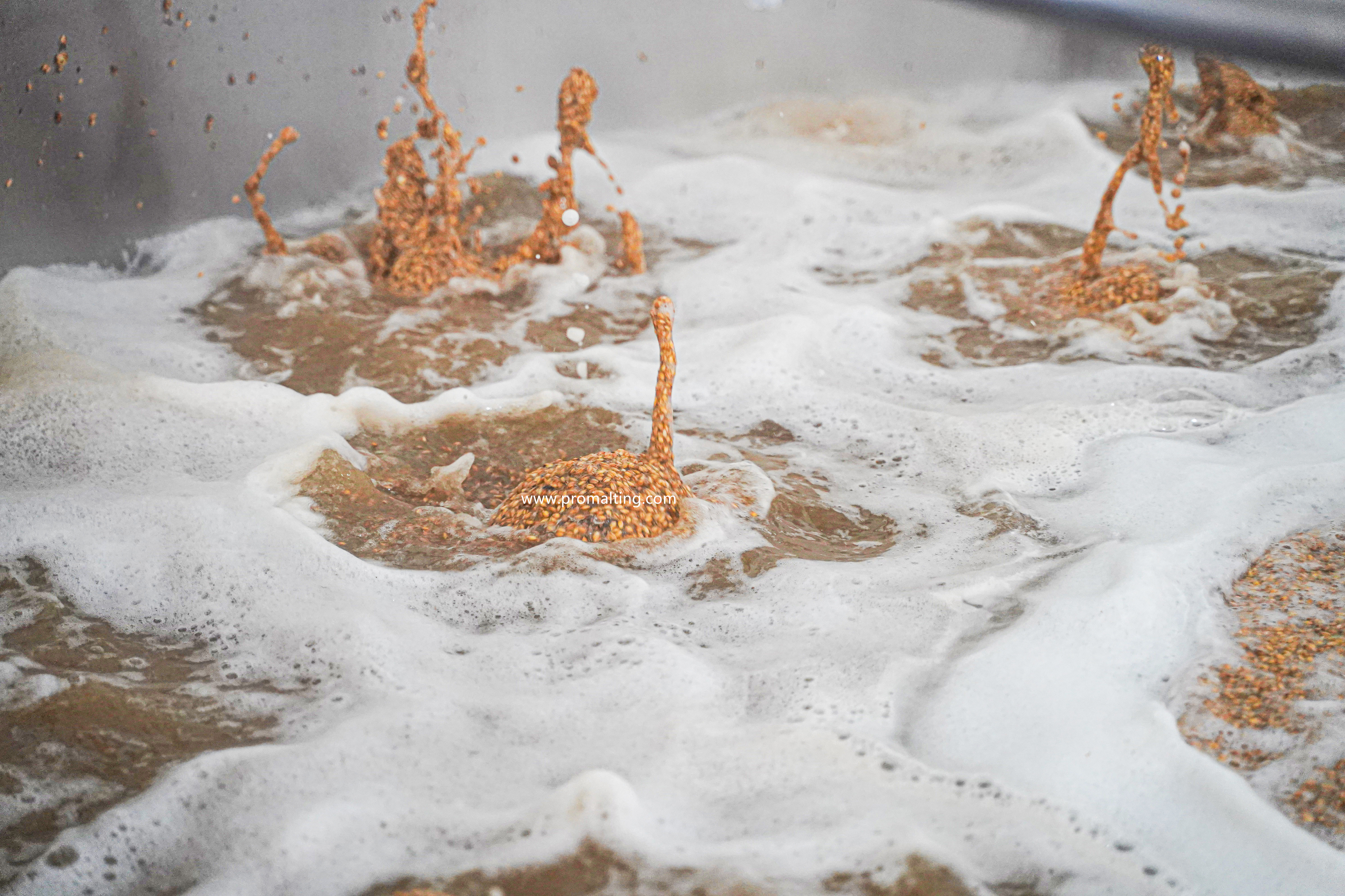 cabfaf41a62e3475a13b478a9859c14_副本