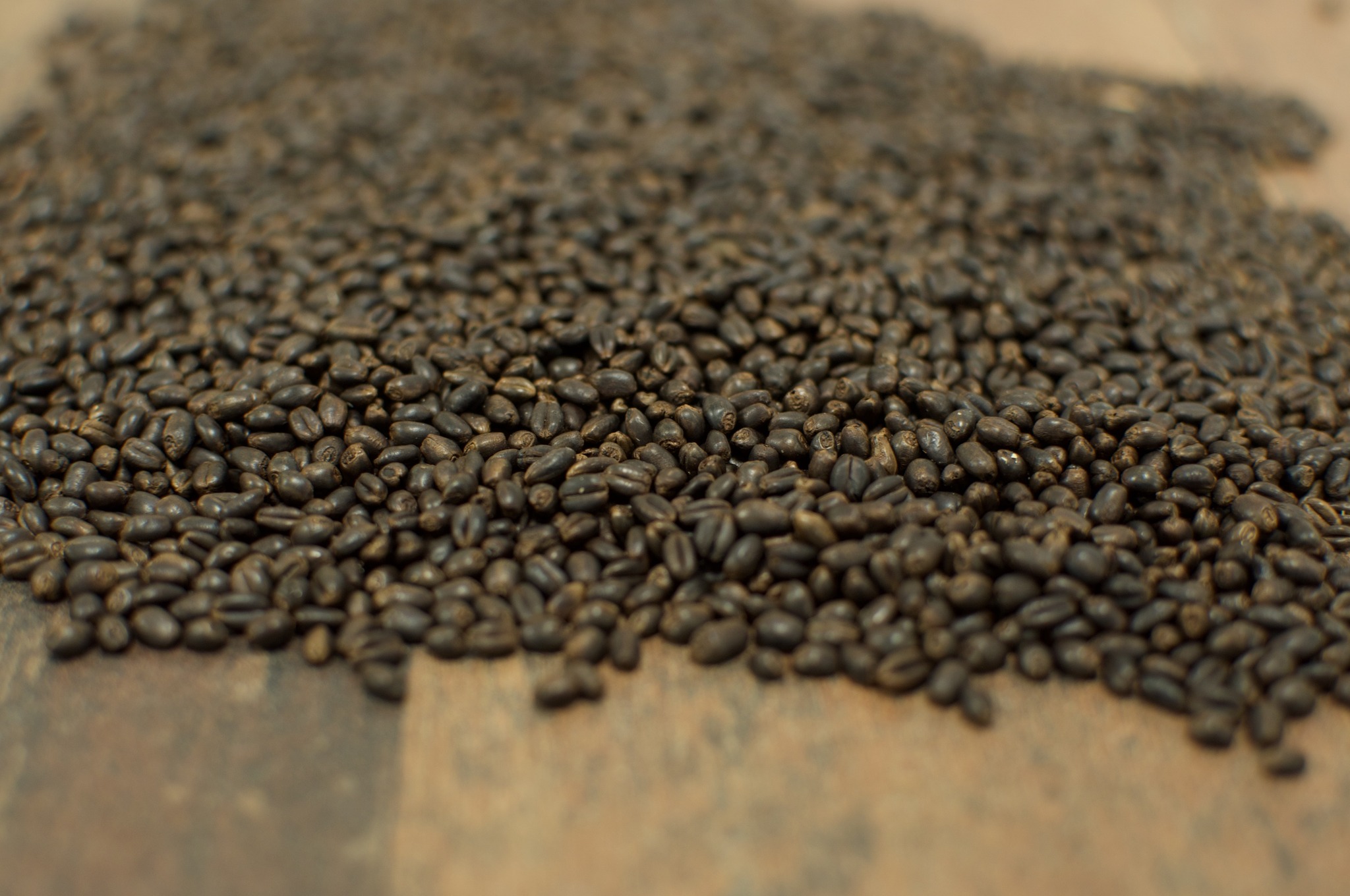 Producción de Malta Especial