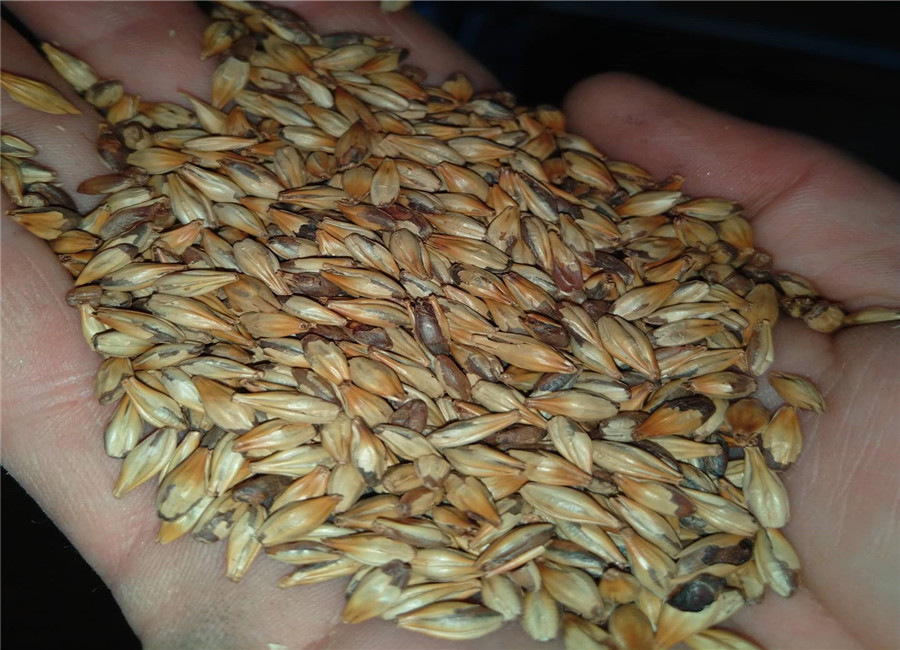 152039917_514943753240005_1199827624141740307_o