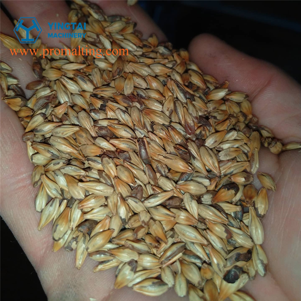 Tostador franc&eacute;s-2