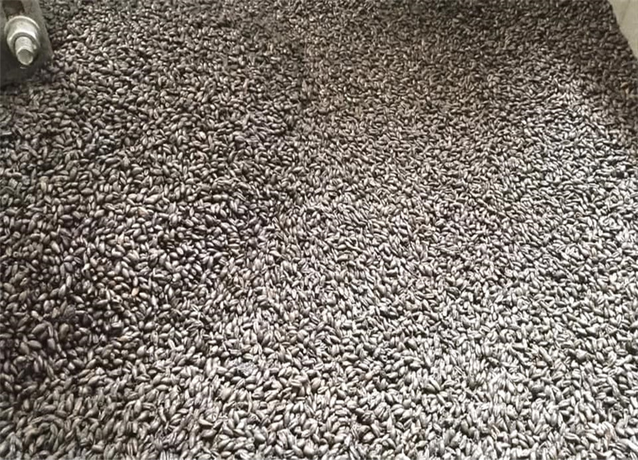 138811271_1886656668155871_1570331683921674402_n