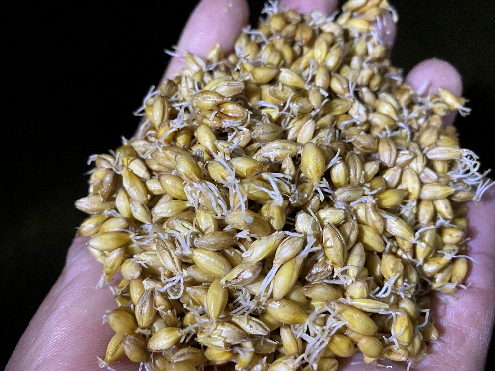 Uruguay 10tx2 bidones-4