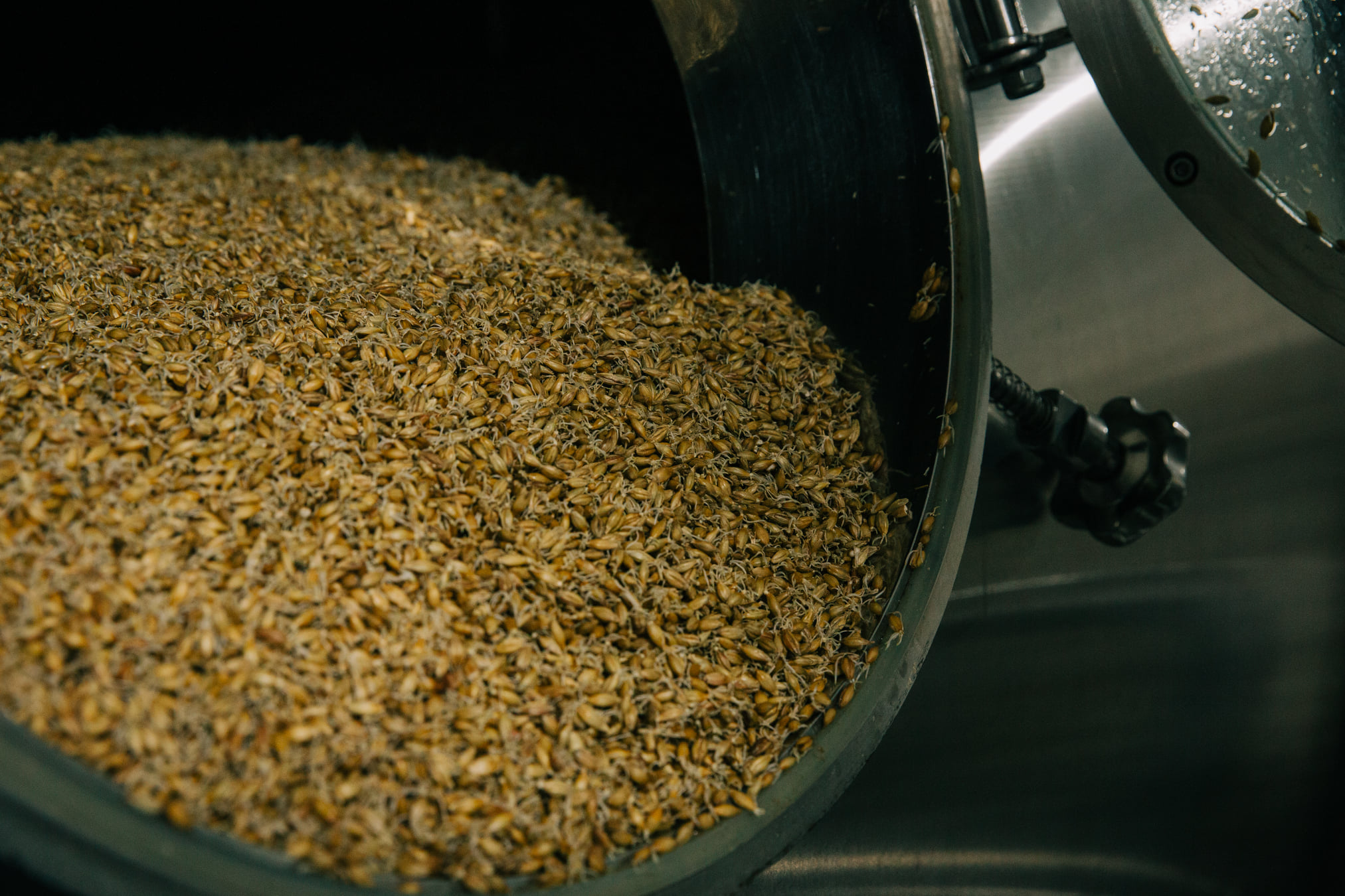 Sistema de malteado en tambor de 2 toneladas para elaborar cerveza y destilar malta 